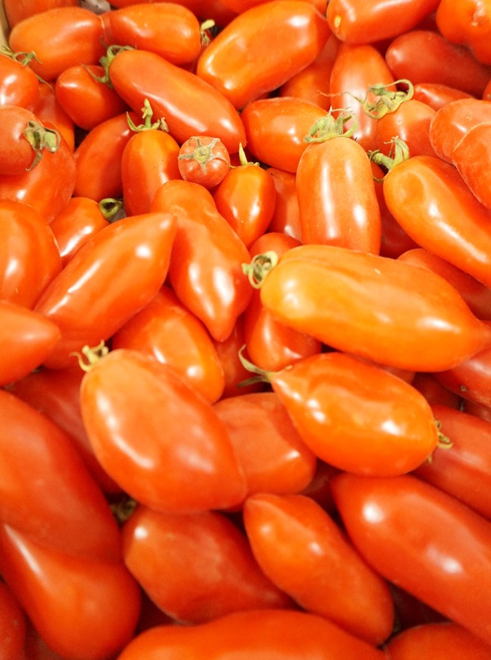イタリアントマト1kg sold out